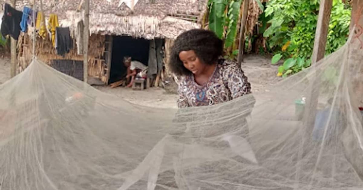 ¿Cómo sabemos si las mosquiteras contra la malaria se usan de forma efectiva?