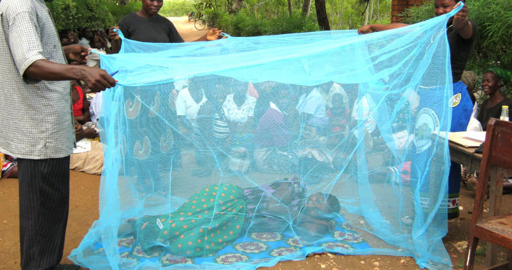 Against Malaria Foundation: 12 años centrados en la efectividad