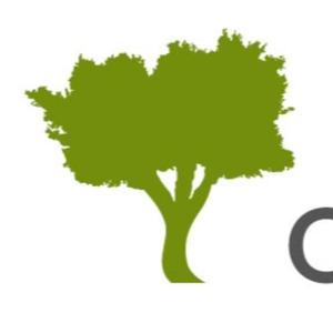 Olivoconsulting
