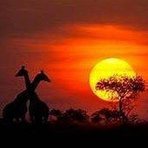 Eduardo Nievas García